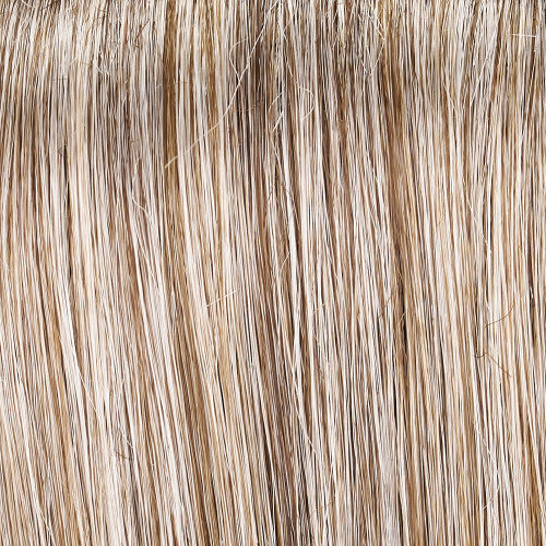 Emilia by Jon Renau | Synthetic Lace Front Wig | Mono Top